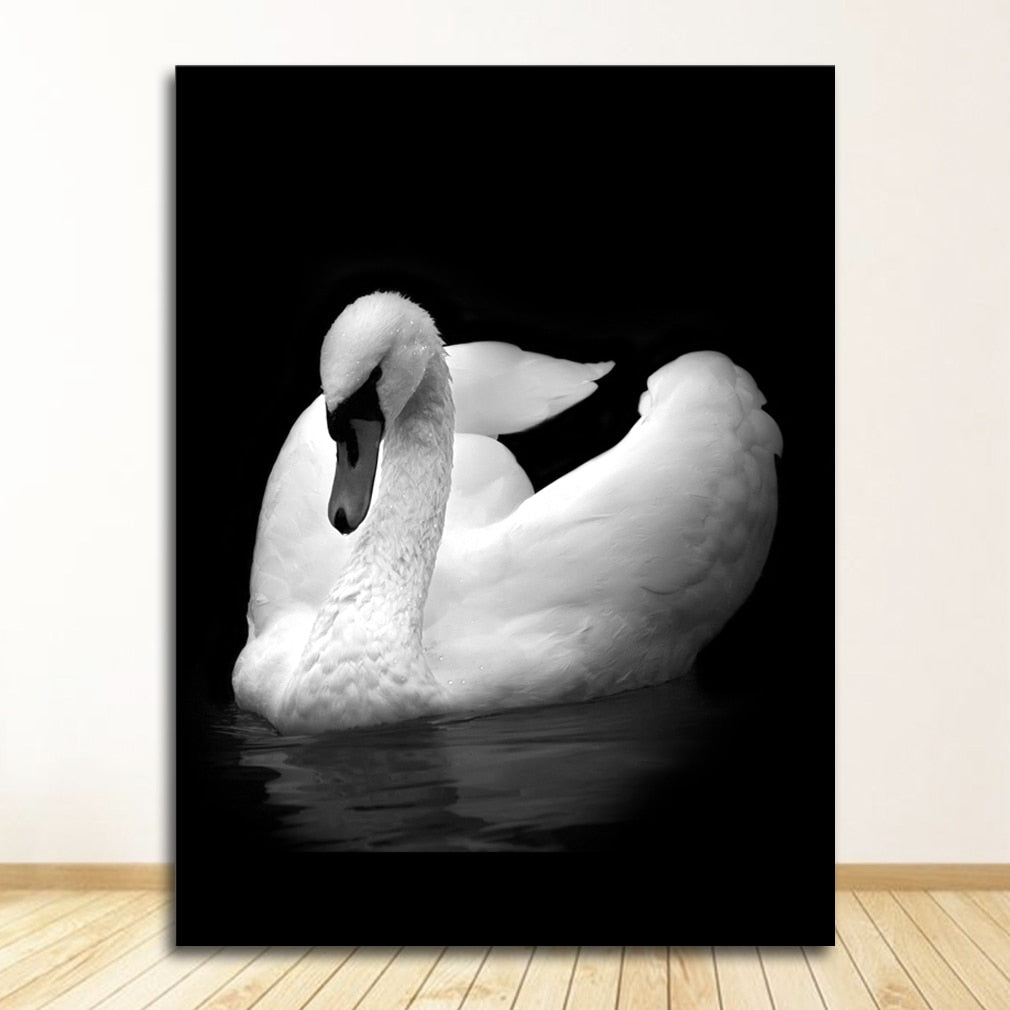 CORX Designs - Black and White Animal Wall Art Canvas - Review