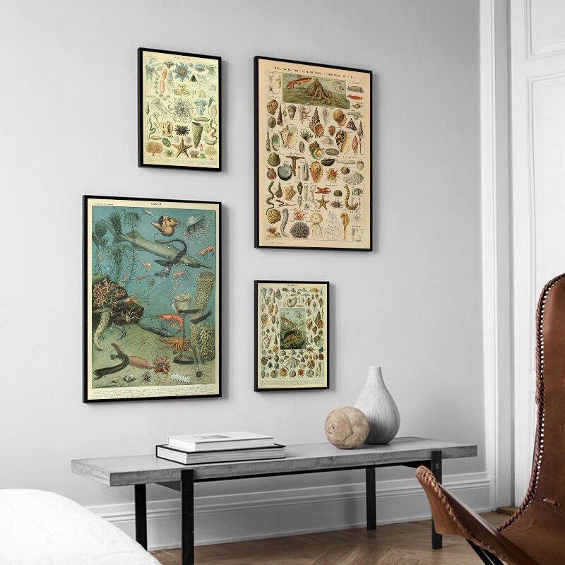 CORX Designs - Retro Ocean Sea Shell Fish Animal Canvas Art - Review