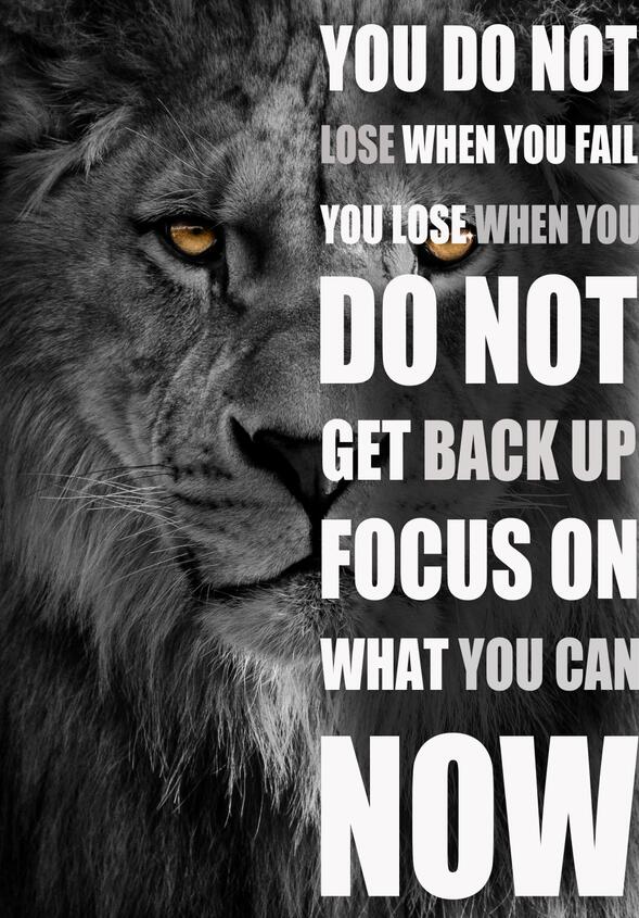 CORX Designs - Animal Inspirational Quotes Canvas Art - Review