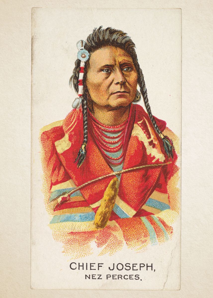 CORX Designs - Indigenous Native American Chief Canvas Art - Review