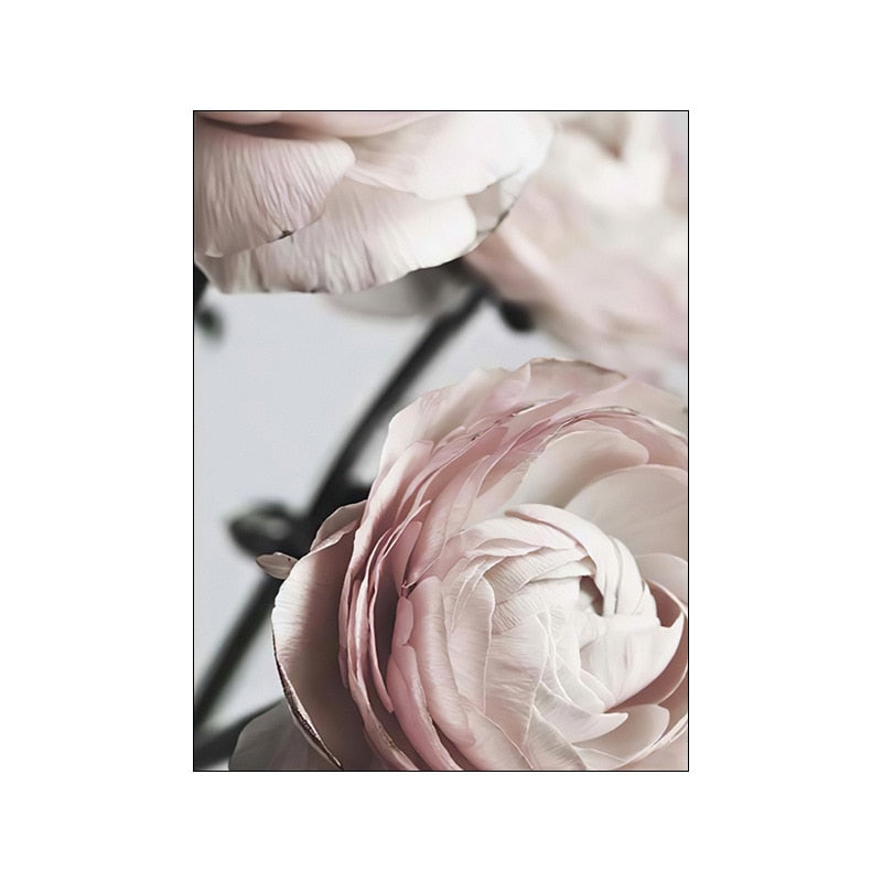 CORX Designs - Pink Peony Rose Flower Canvas Art - Review