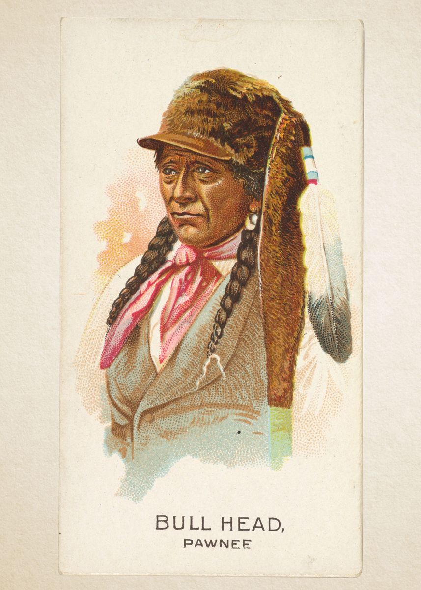CORX Designs - Indigenous Native American Chief Canvas Art - Review