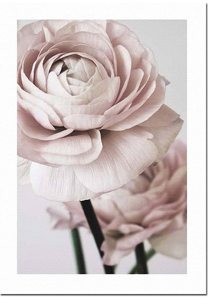 CORX Designs - Fresh Pink Flower Canvas Art - Review