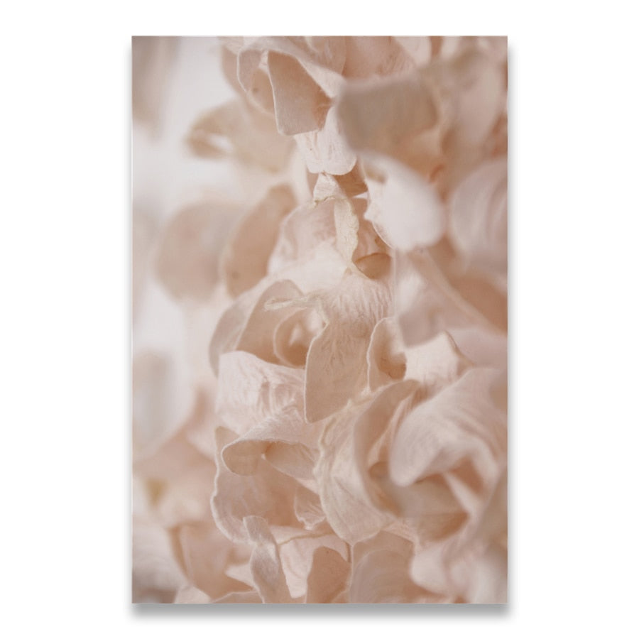 CORX Designs - Woman Dancing Flower Pampas Grass Canvas Art - Review