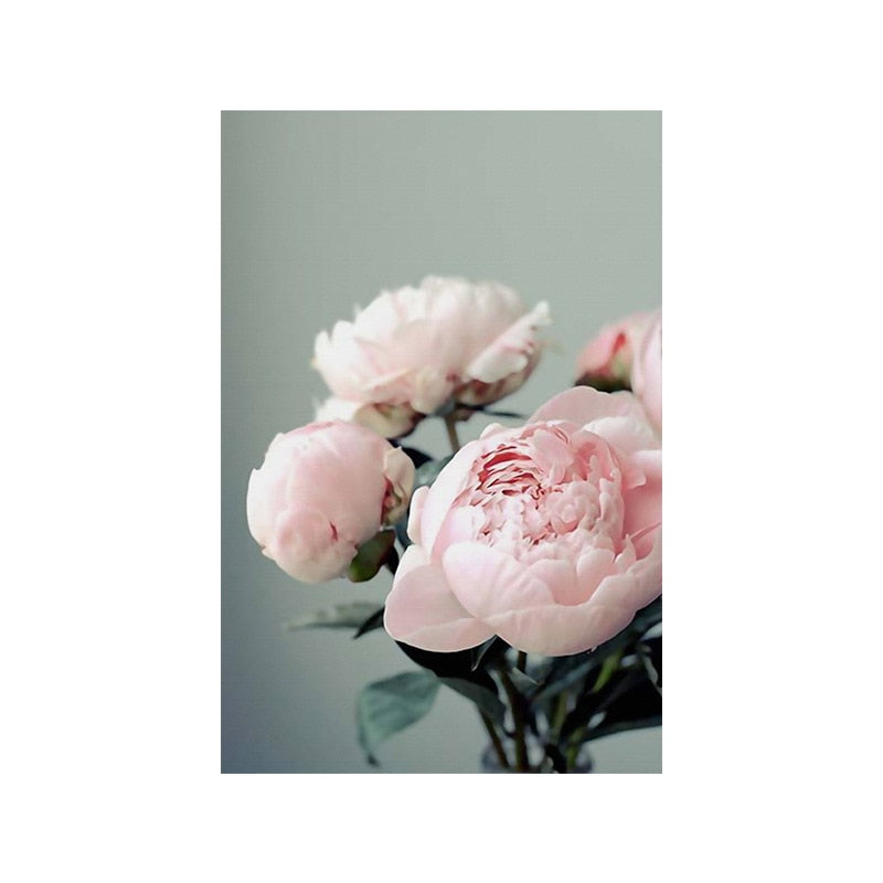 CORX Designs - Pink Peony Rose Flower Canvas Art - Review