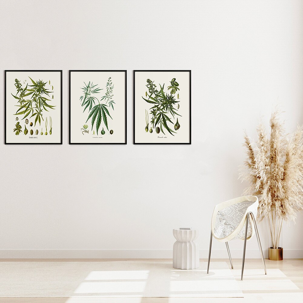 CORX Designs - Herb Weed Botanical Vintage Canvas Art - Review