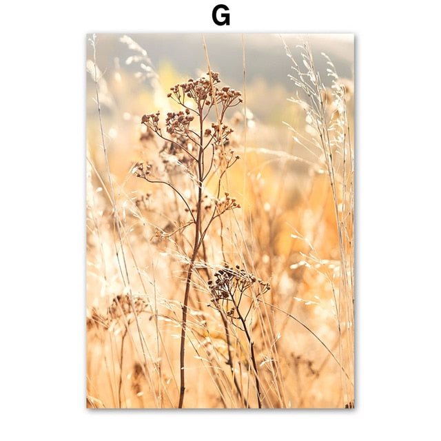 CORX Designs - Autumn Pumpkin Car Canvas Art - Review