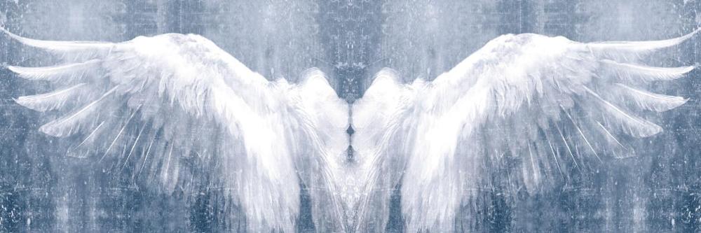 CORX Designs - Black And White Angel Wings Wall Art Canvas - Review