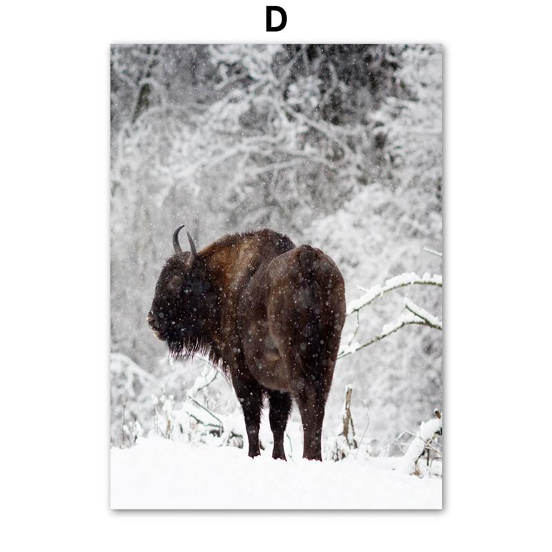 CORX Designs - Winter Snow Forest Pine Highland Cattle Canvas Art - Review