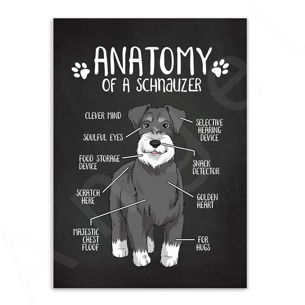 CORX Designs - Anatomy of Dogs Canvas Art - Review