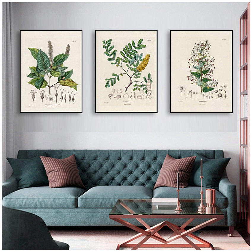 CORX Designs - Botanical Studies Wall Art Canvas - Review