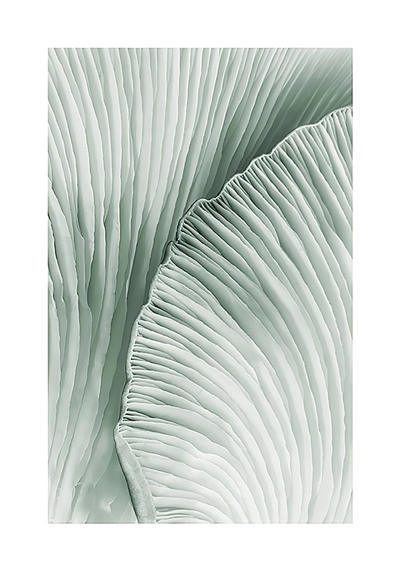 CORX Designs - Fresh Pink Flower Canvas Art - Review
