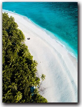 CORX Designs - Beach Overlooking Blue Ocean Canvas Art - Review