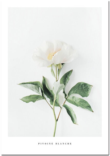 CORX Designs - Fresh Pink Flower Canvas Art - Review