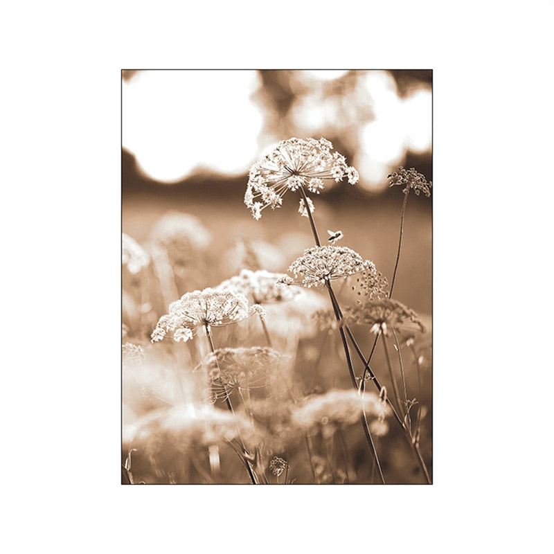 CORX Designs - Autumn Sunlight Landscape Canvas Art - Review