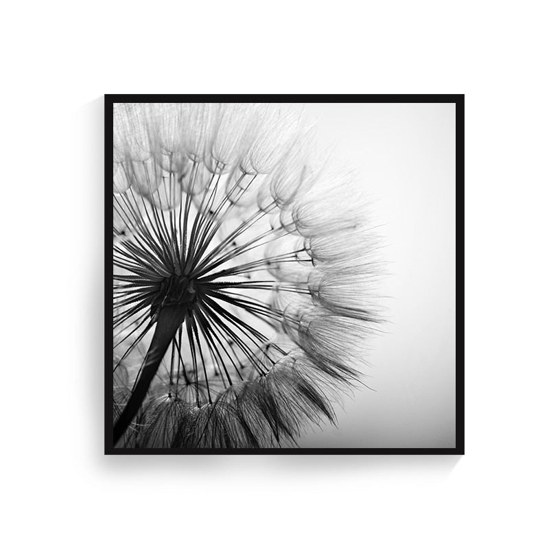 CORX Designs - Black and White Dandelion Flower Art - Review