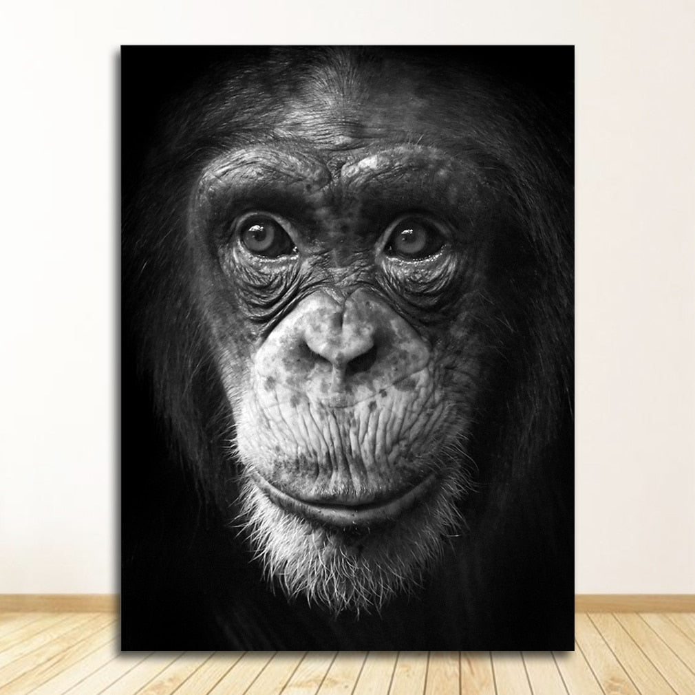 CORX Designs - Black and White Animal Wall Art Canvas - Review