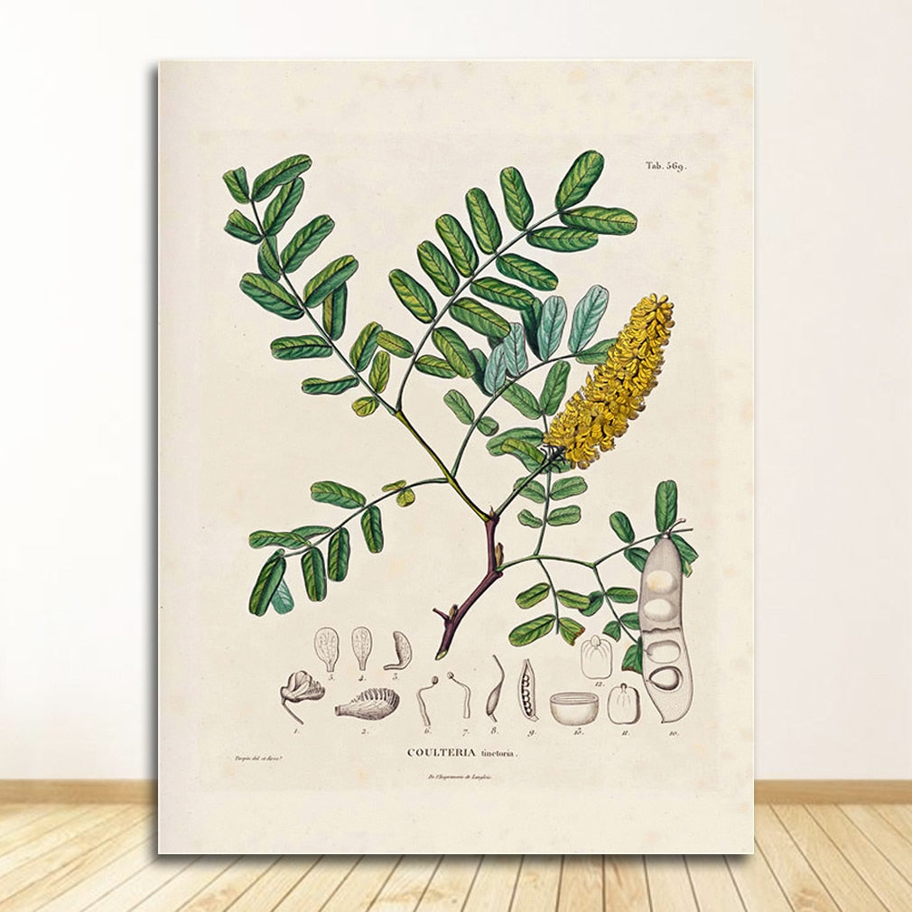 CORX Designs - Botanical Studies Wall Art Canvas - Review