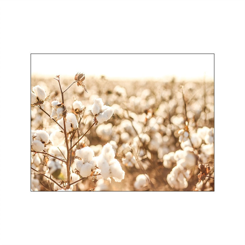 CORX Designs - Autumn Sunlight Landscape Canvas Art - Review