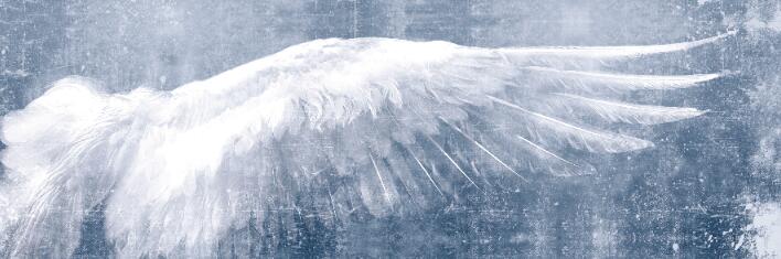 CORX Designs - Angel Wings Art Canvas - Review