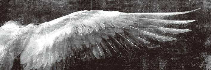 CORX Designs - Angel Wings Art Canvas - Review