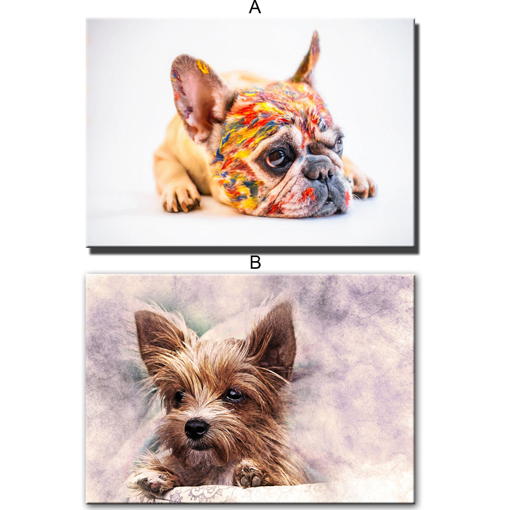 CORX Designs - French Bulldog Wall Art Poster Canvas - Review