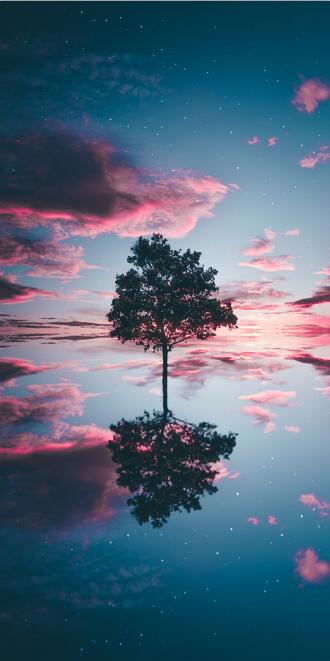 CORX Designs - Cloud And Tree Reflection Wall Art Canvas - Review