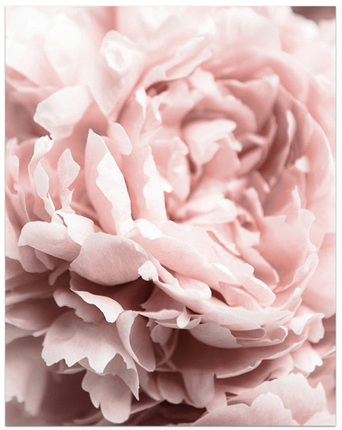 CORX Designs - Blooming Pink Flower Canvas Art - Review
