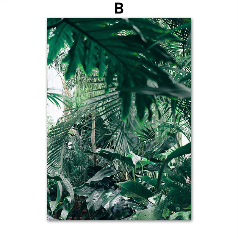 CORX Designs - Animal in Tropical Rainforest Canvas Art - Review