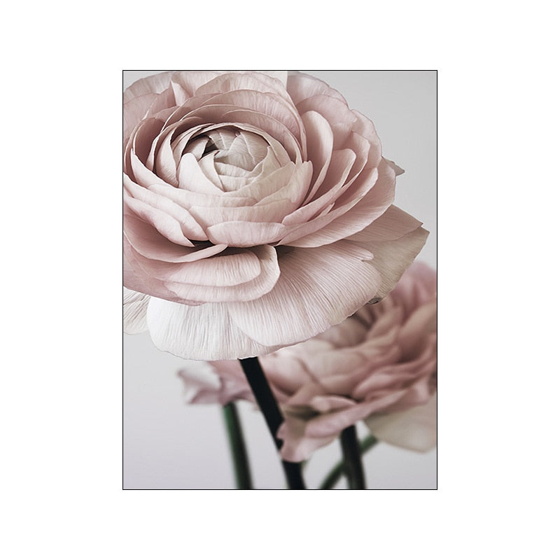 CORX Designs - Pink Peony Rose Flower Canvas Art - Review