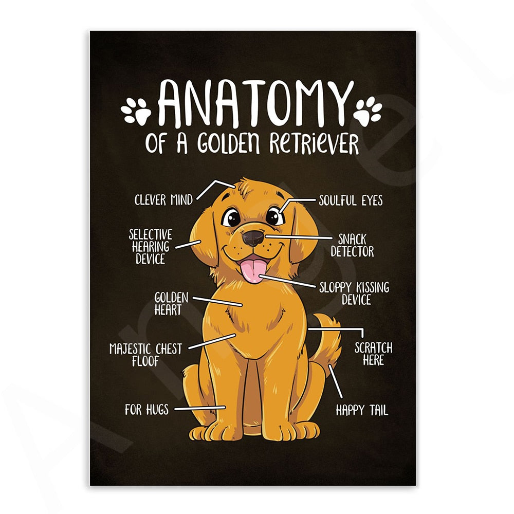 CORX Designs - Anatomy of Dogs Canvas Art - Review