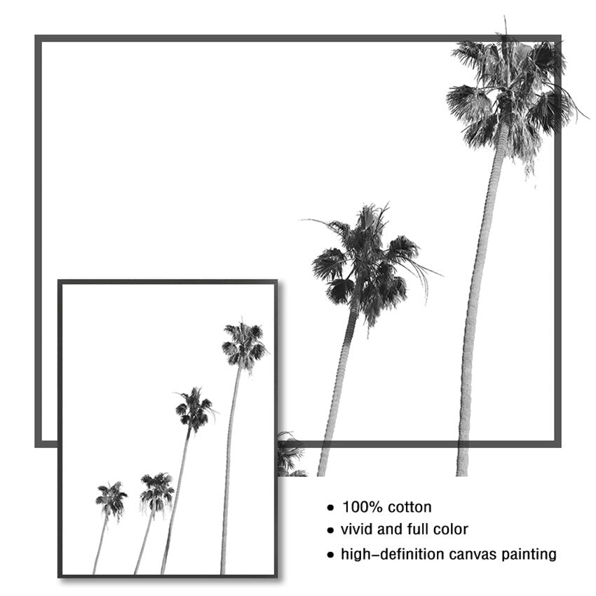 CORX Designs - Black and White Beach Palm Surf Canvas Art - Review