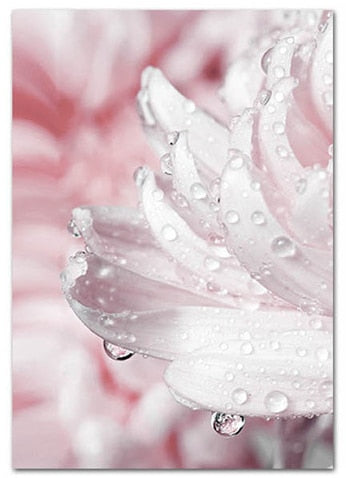 CORX Designs - Blooming Pink Flower Canvas Art - Review