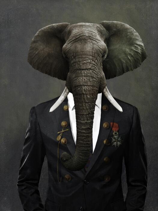 CORX Designs - Animal with Suit Canvas Art - Review