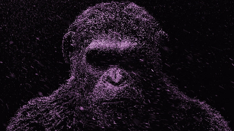 CORX Designs - Purple Orangutan Canvas Art - Review