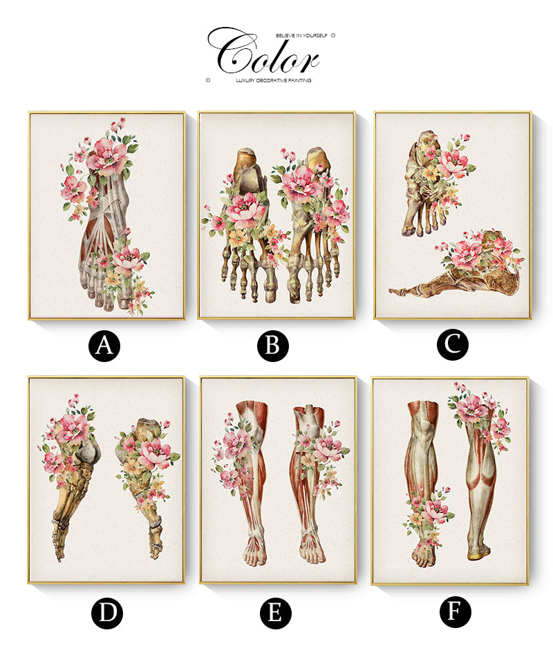 CORX Designs - Floral Skeletal Muscle Anatomy Canvas Art - Review