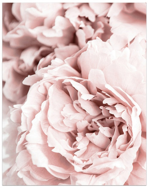 CORX Designs - Blooming Pink Flower Canvas Art - Review