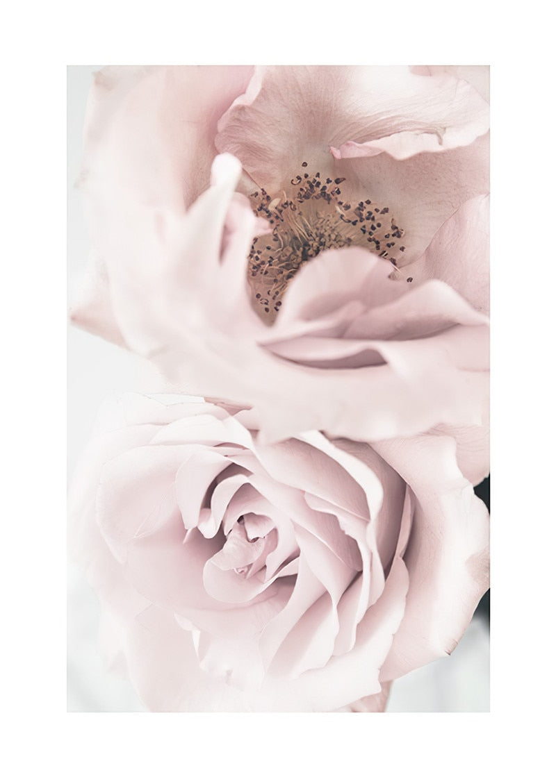 CORX Designs - Fresh Pink Flower Canvas Art - Review