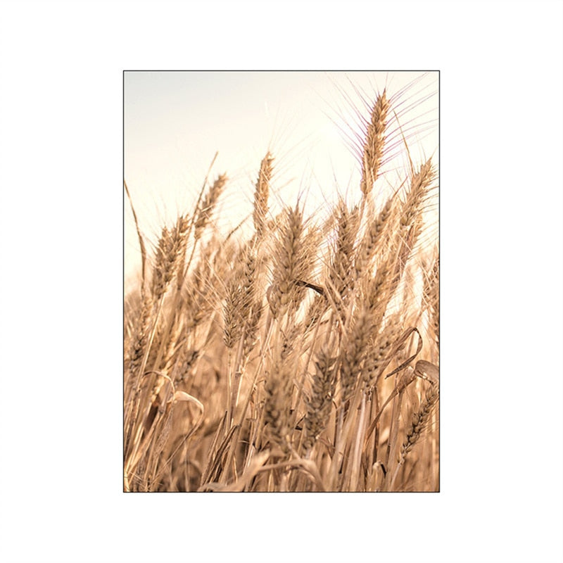 CORX Designs - Autumn Sunlight Landscape Canvas Art - Review