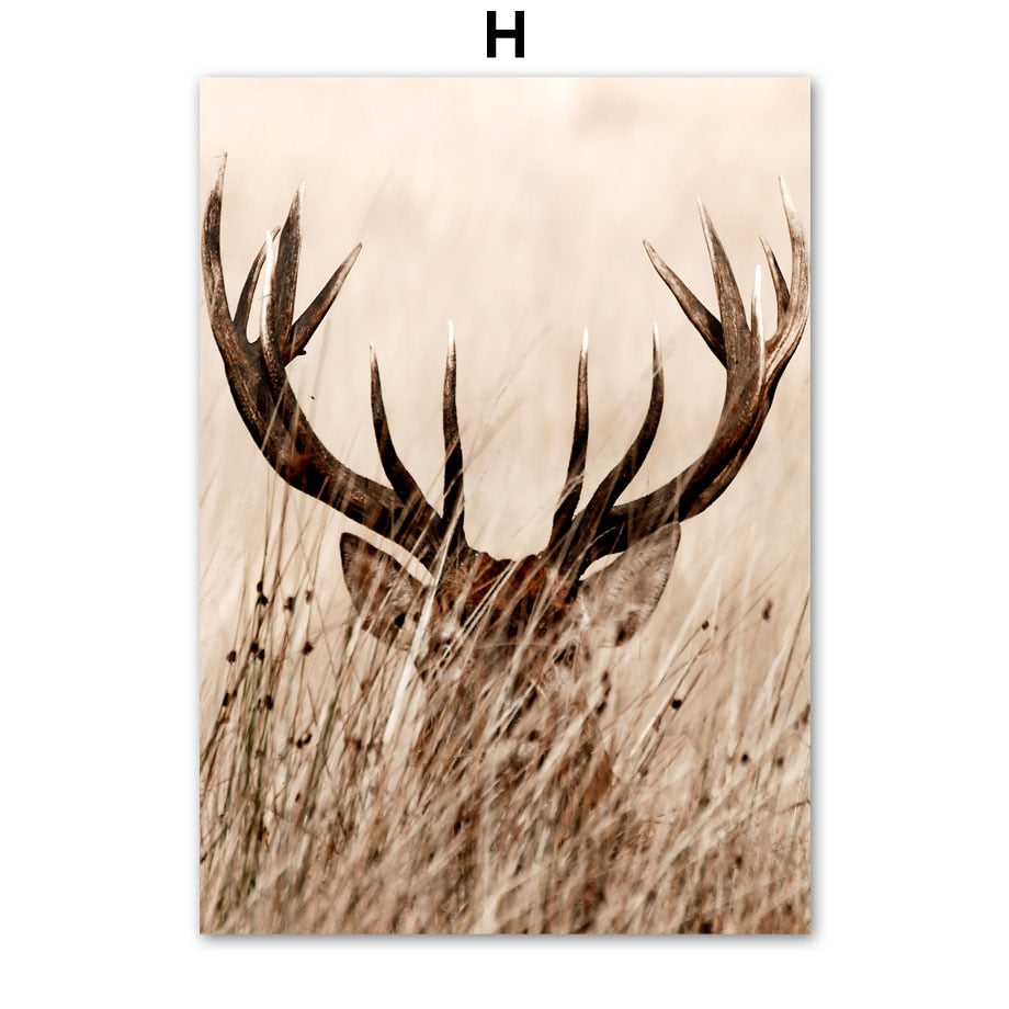 CORX Designs - African Savanna Animals Canvas Art - Review