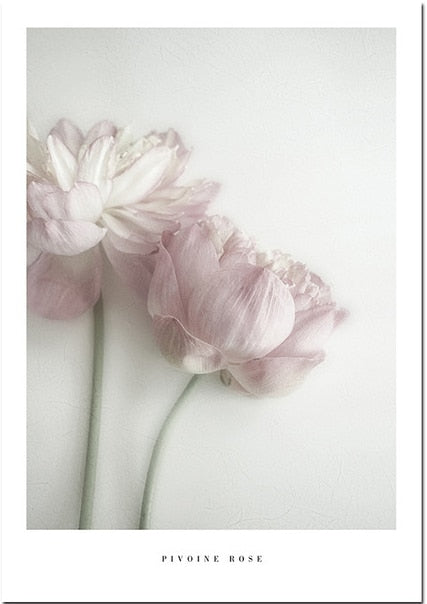 CORX Designs - Fresh Pink Flower Canvas Art - Review