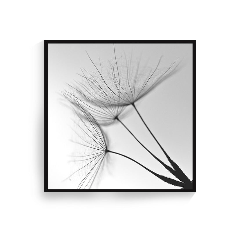 CORX Designs - Black and White Dandelion Flower Art - Review