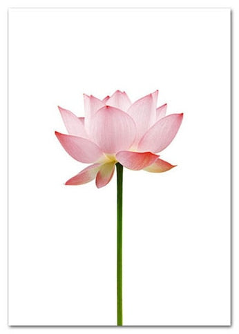 CORX Designs - Blooming Pink Flower Canvas Art - Review