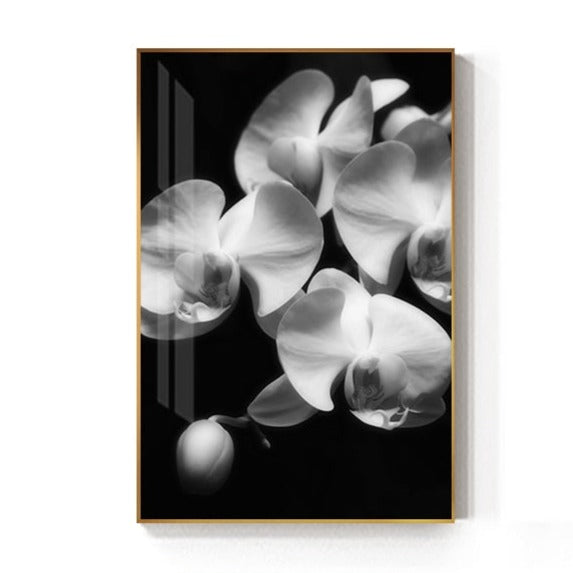 CORX Designs - Black And White Tulip Flower Canvas Art - Review