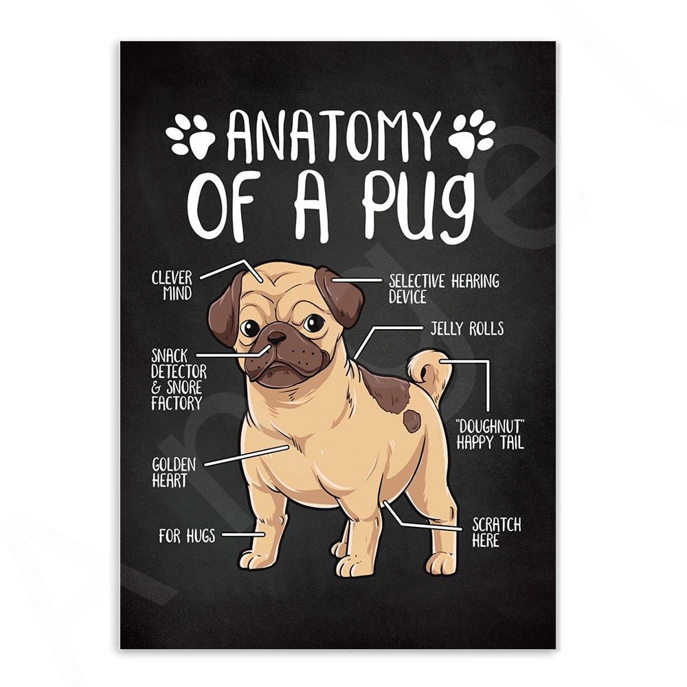 CORX Designs - Anatomy of Dogs Canvas Art - Review
