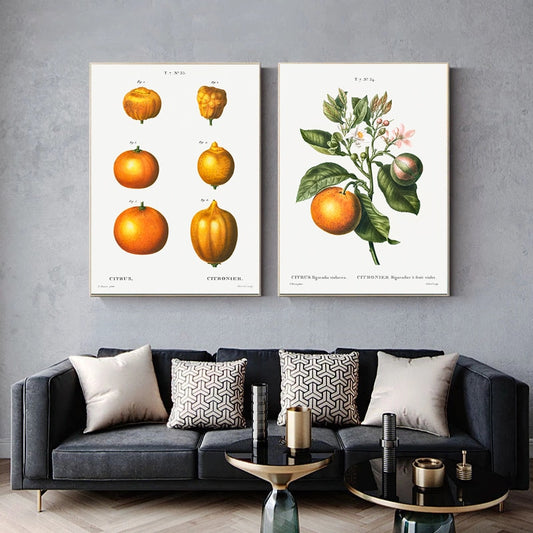 CORX Designs - Fruit Pomegranate Cherry Grape Pear Canvas Art - Review