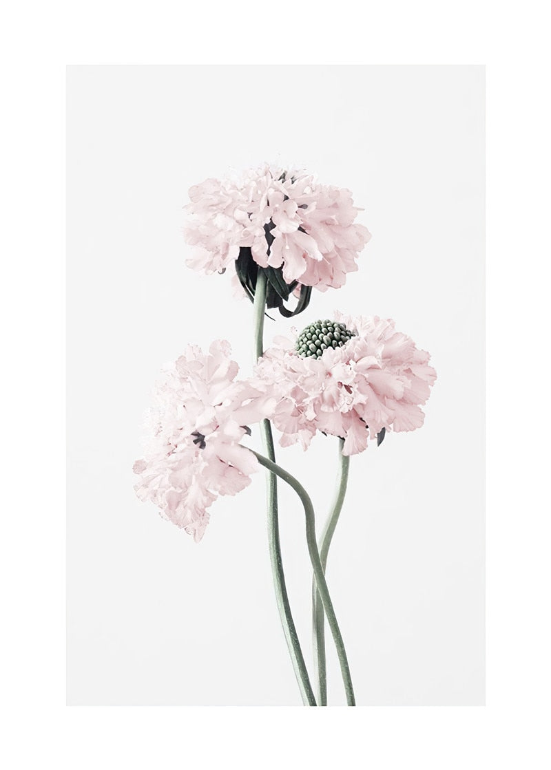 CORX Designs - Fresh Pink Flower Canvas Art - Review
