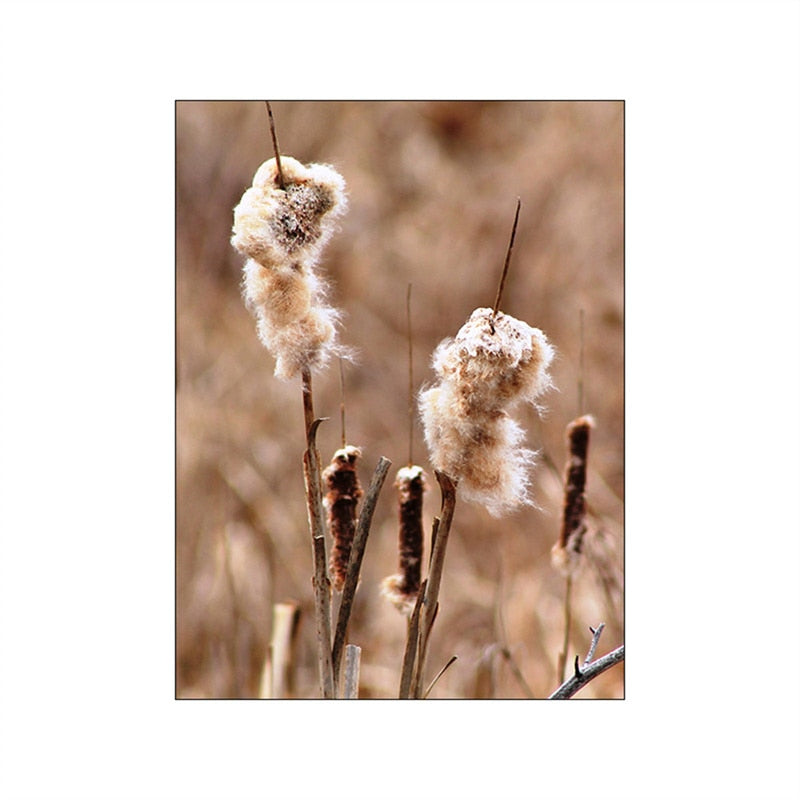 CORX Designs - Autumn Sunlight Landscape Canvas Art - Review