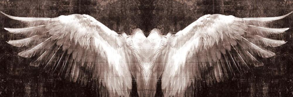 CORX Designs - Black And White Angel Wings Wall Art Canvas - Review