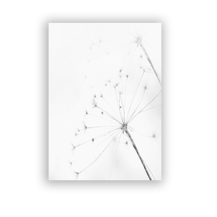 CORX Designs - Black And White Dandelion Canvas Art - Review